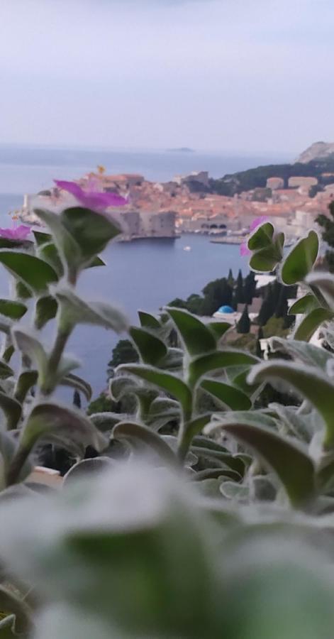 Lea - Sea&city View With Terrace