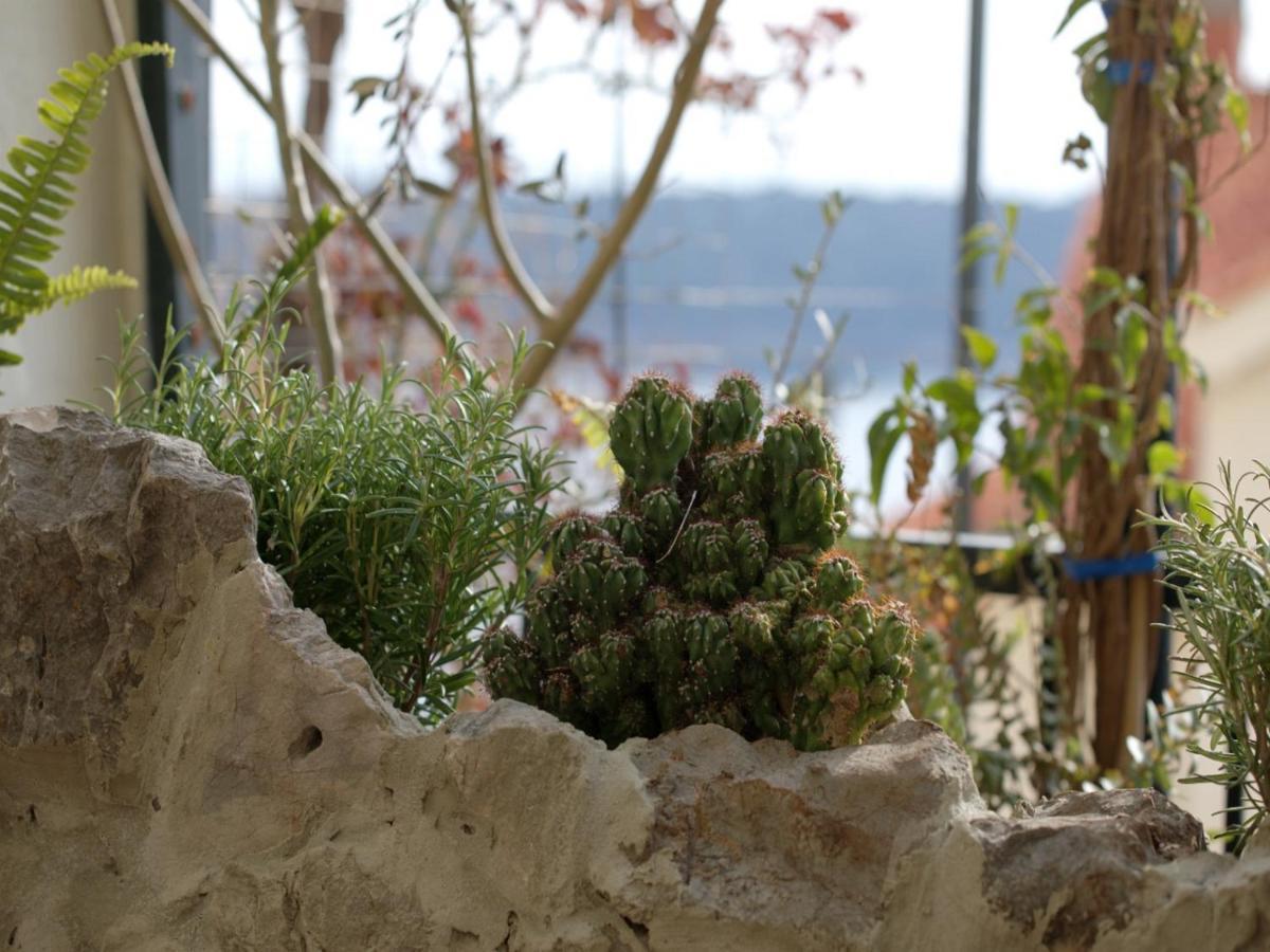 Lea - Sea&city View With Terrace Apartment Dubrovnik