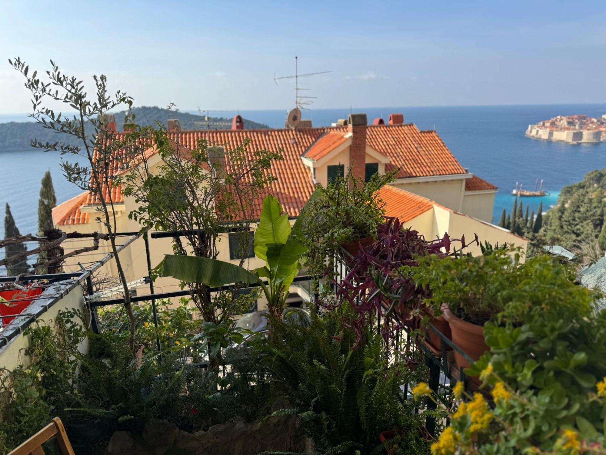 Appartement Lea *