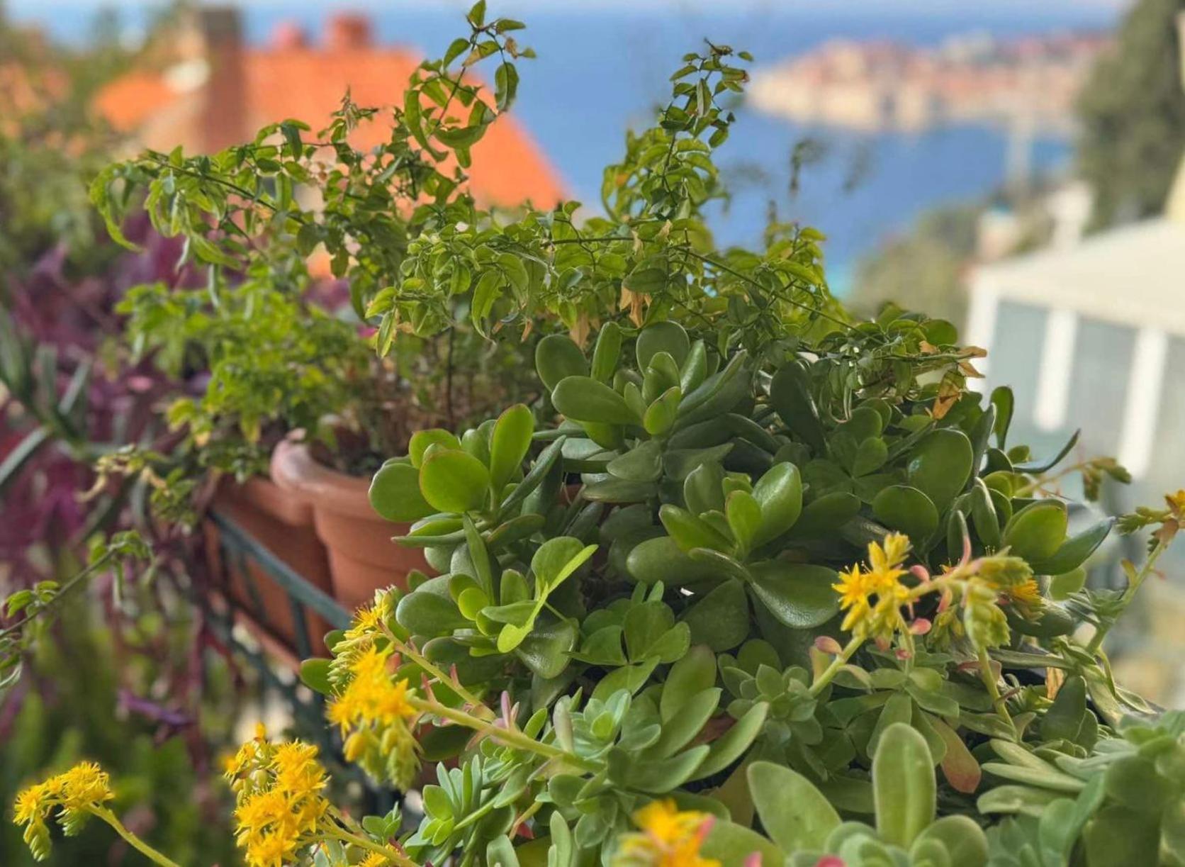 Lea - Sea&city View With Terrace Dubrovnik